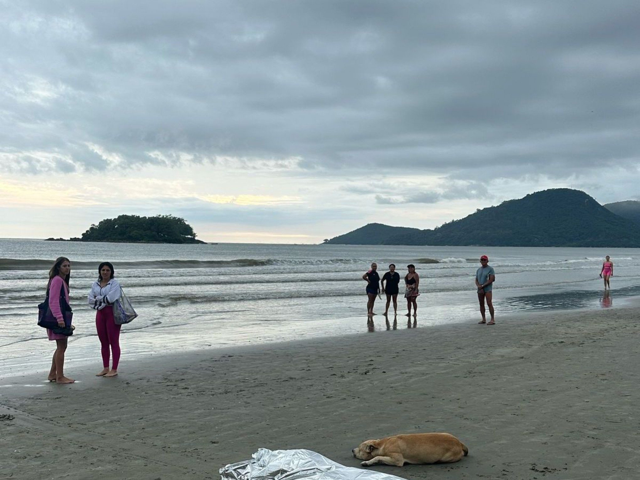 Cena comovente: Cachorro fica ao lado do corpo do dono após afogamento em praia