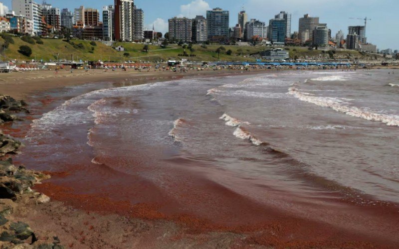 Argentina vive dias de "Mar Vermelho"  | abc+