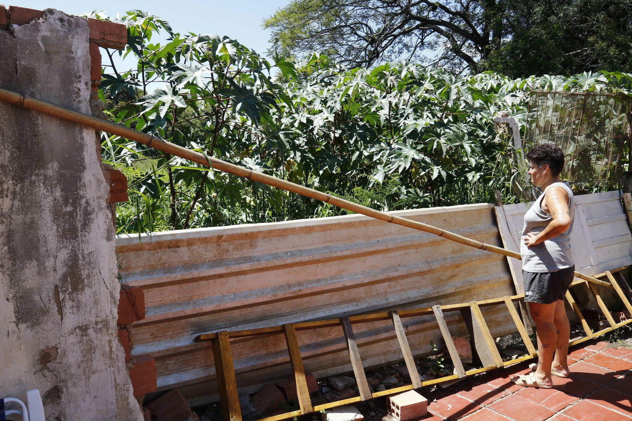 Mato alto no terreno de escola atrai ratos e aranhas para residências no bairro Harmonia em Canoas