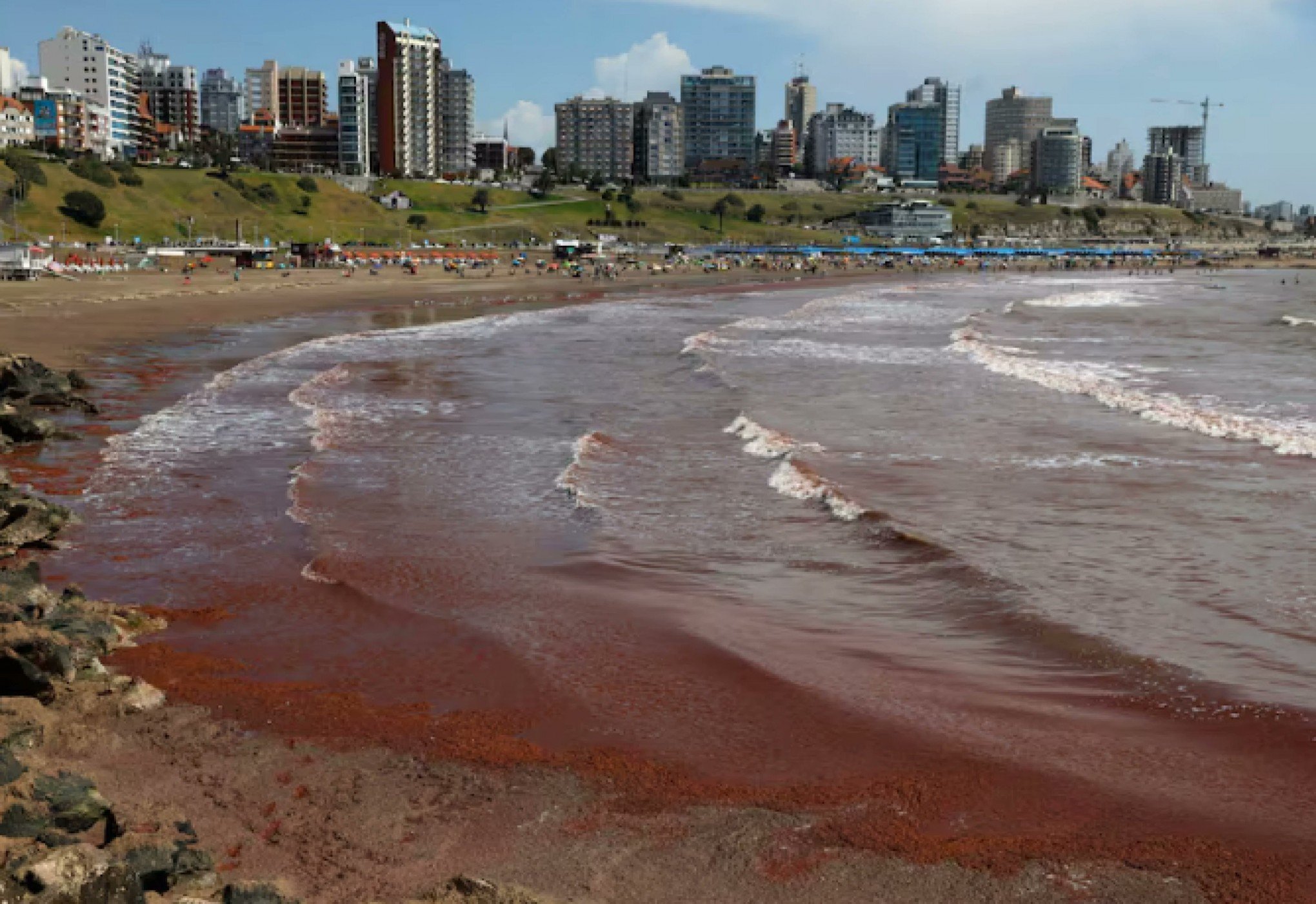 VÍDEO: Algas transformam paisagem e assustam turistas e veranistas na Argentina; entenda o fenômeno