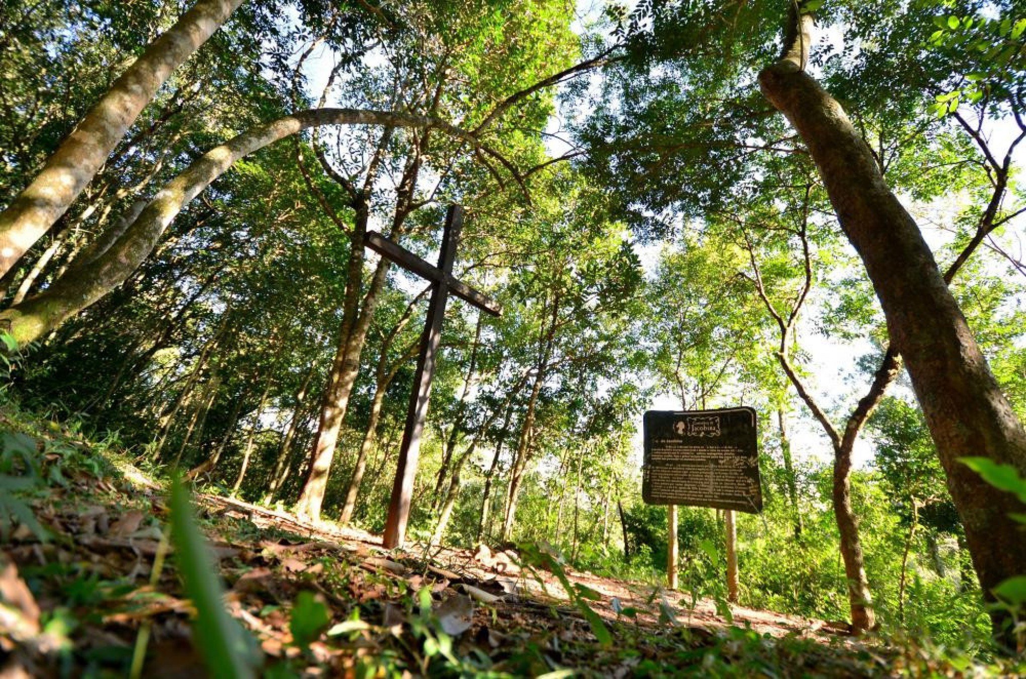 Sapiranga destaca a história com olhar para o futuro