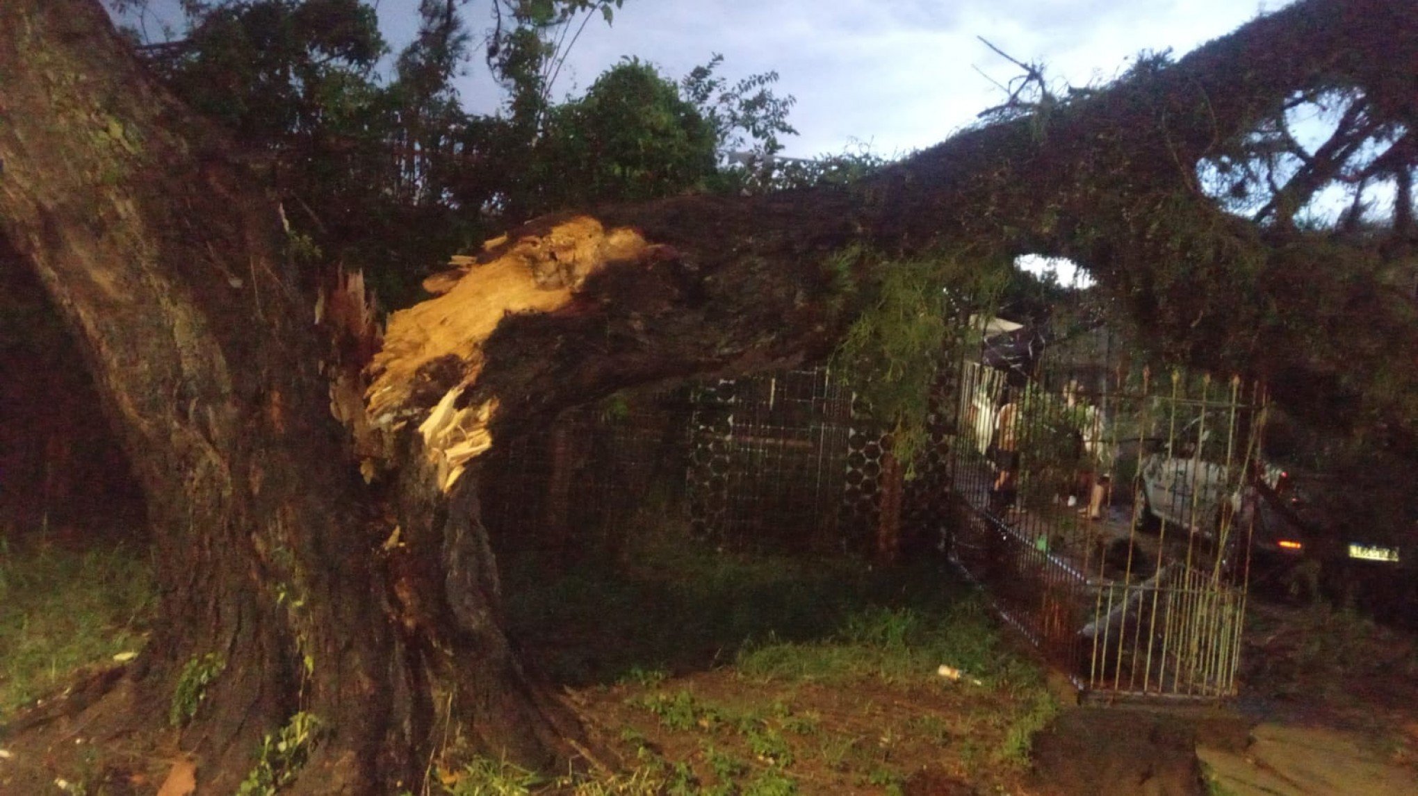 Árvore cai em cima de poste e deixa moradores sem luz após temporal em Canoas
