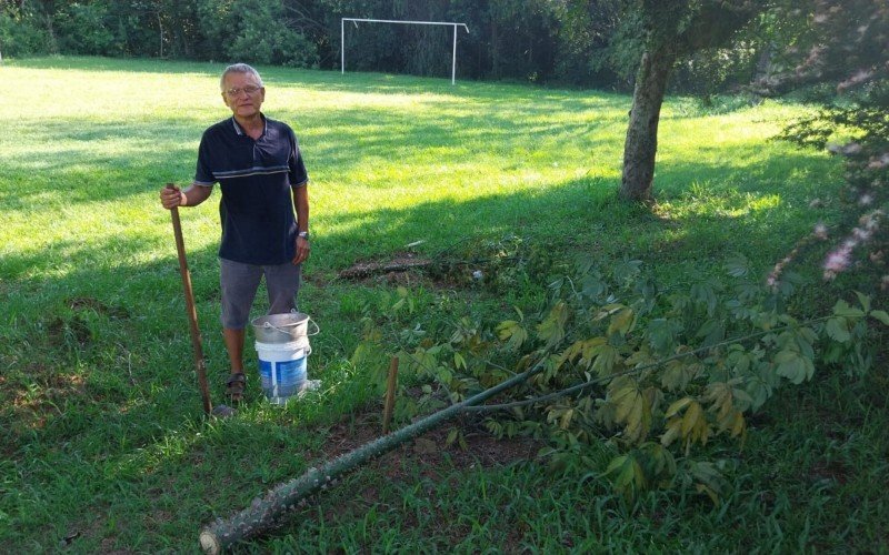VÍDEO: Morador depara-se com árvores cortadas em praça de Novo Hamburgo; aposentado havia plantado a vegetação