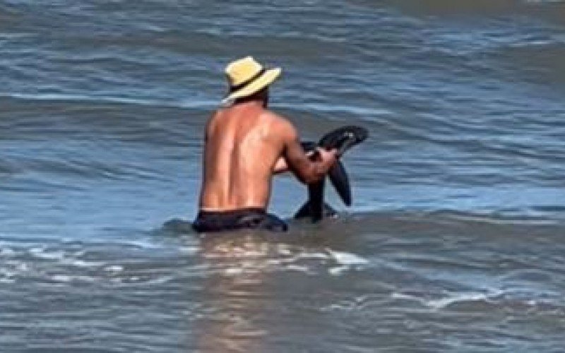 Tubarão no mar do litoral norte | abc+