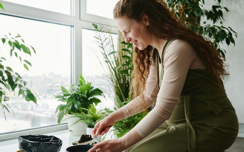 Estudos mostram que ter plantas em casa traz benefícios para a saúde mental | abc+