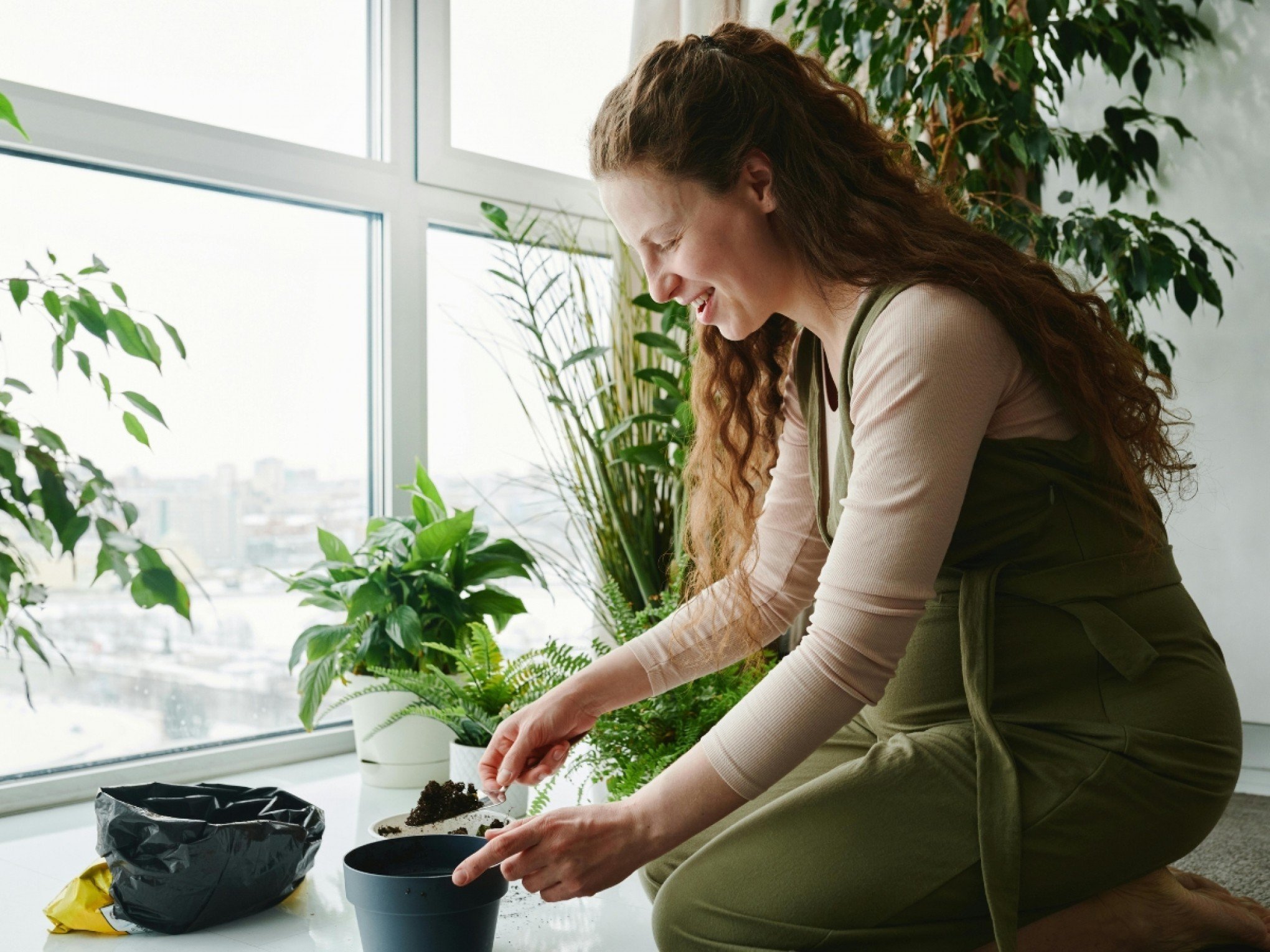 3 plantas de interior para melhorar a saúde mental: Descubra o poder transformador da natureza para o seu humor