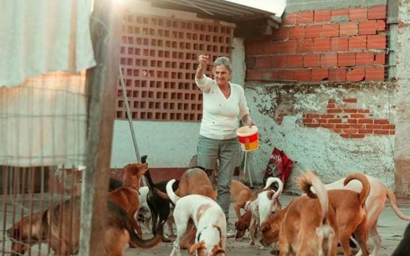 Adelaide Stein é protetora da causa animal há mais de 30 anos em São Leopoldo