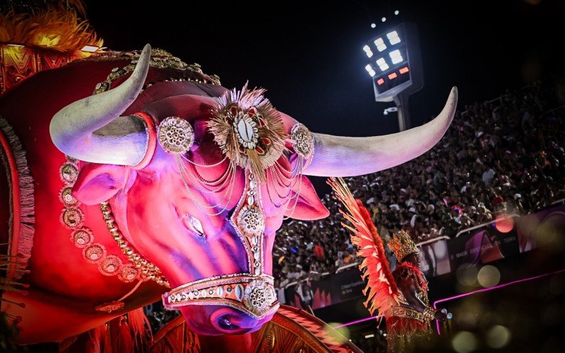 Detalhes dos desfiles das escolas de samba do Grupo Especial do Rio de Janeiro 2025