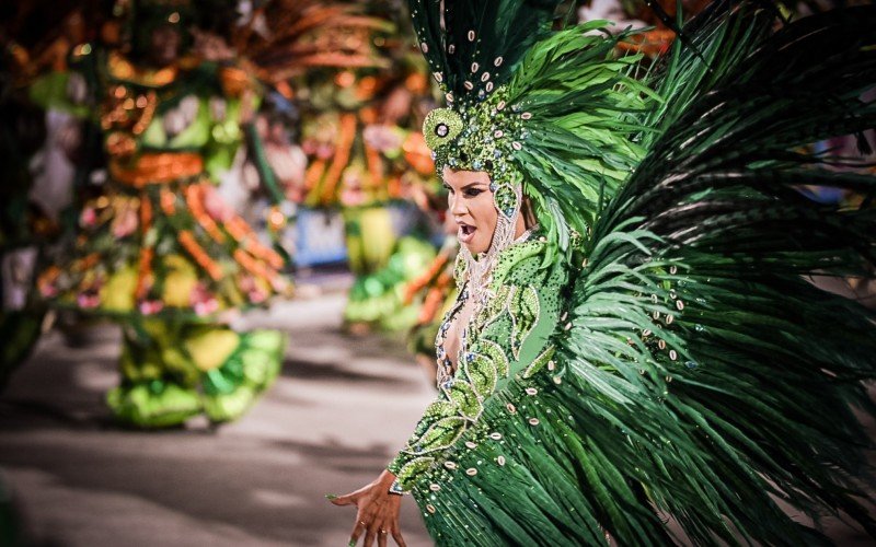 Detalhes dos desfiles das escolas de samba do Grupo Especial do Rio de Janeiro 2025