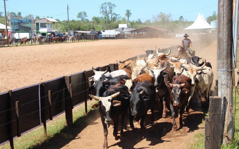 Prova de laço que dará m carro 0km ao vencedor no Rodeio de Campo Bom