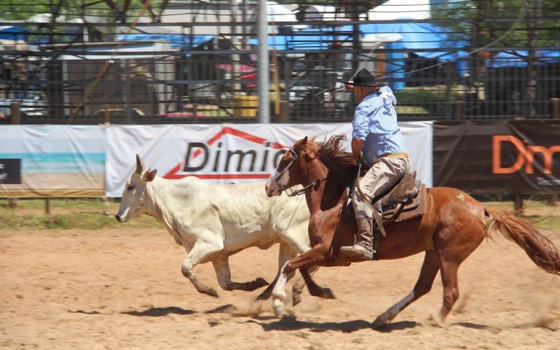 Prova de laço que dará m carro 0km ao vencedor no Rodeio de Campo Bom