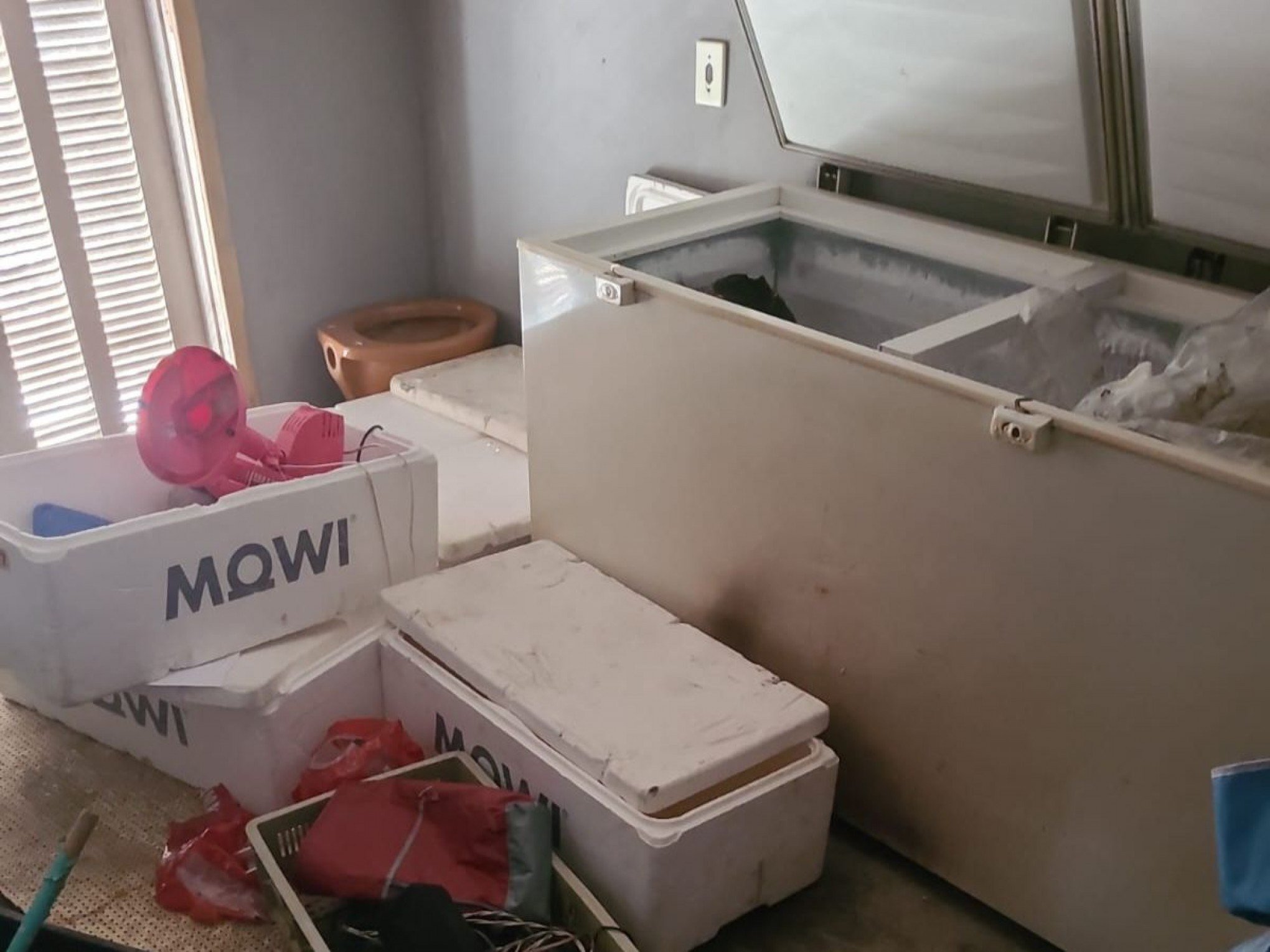 CORPO NO FREEZER: Justiça manda soltar enteado de homem esquartejado no RS