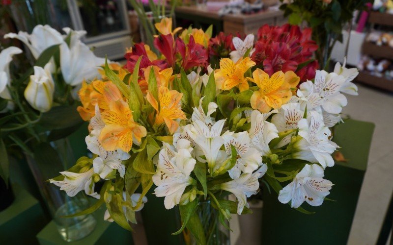 Cuidados com flores em vasos são essenciais