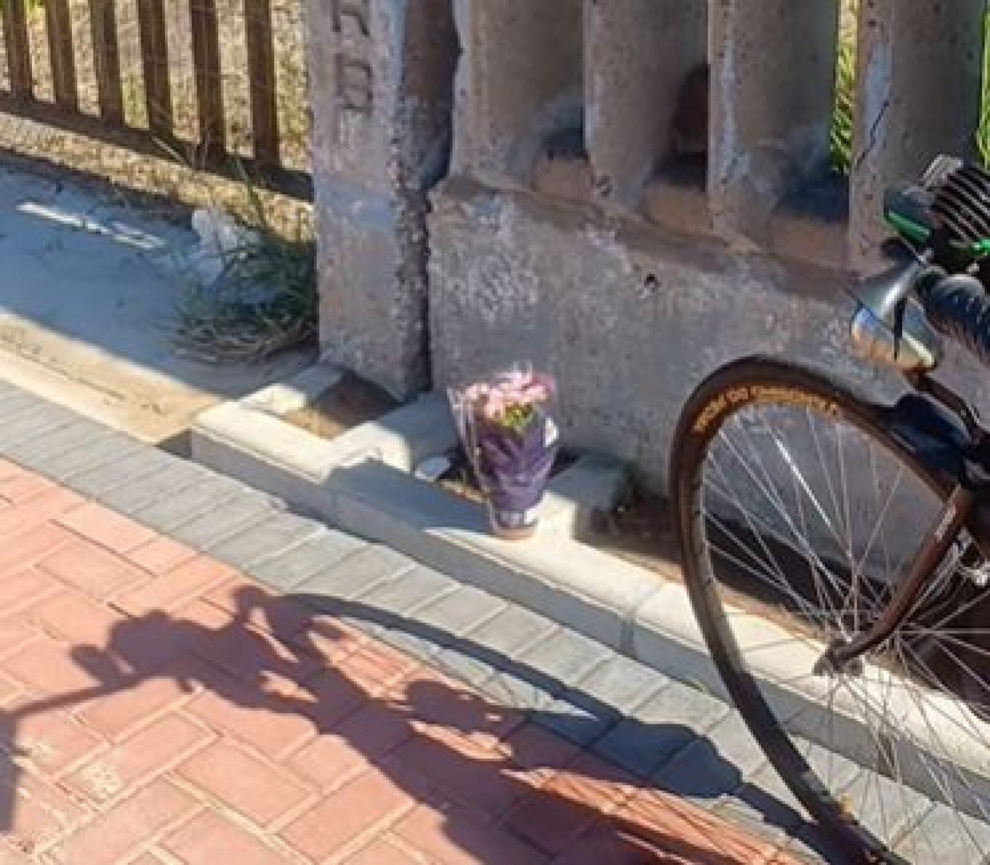 VÍDEO: Ciclista que filmou momento de acidente com ônibus deixa flores no local e pede homenagem para vítima