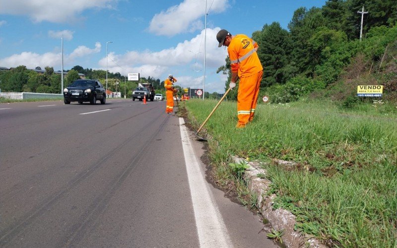 EGR tem equipes em limpeza no canteiro central na RS 239 na manhã desta segunda-feira, em Novo Hamburgo  | abc+