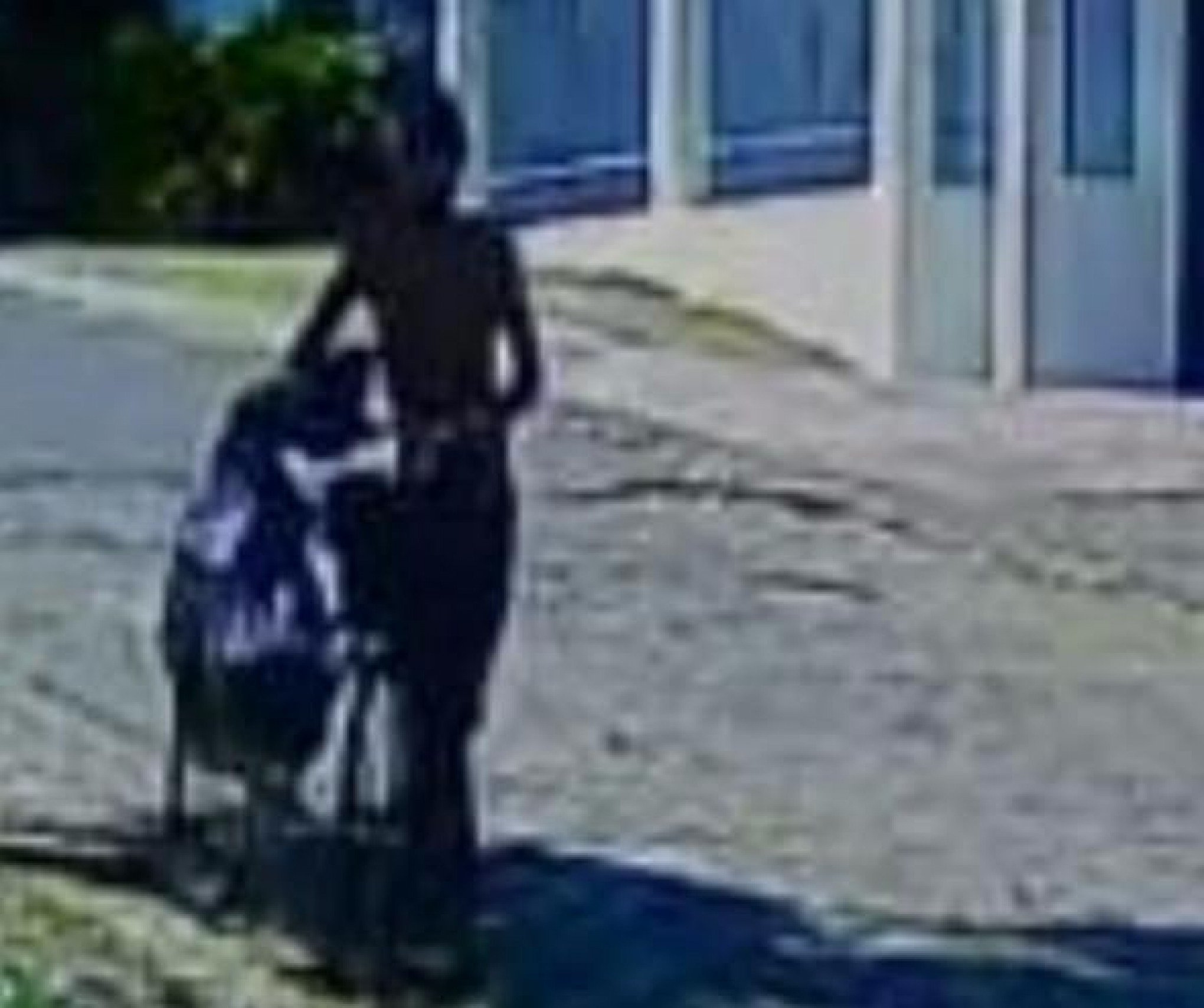VÍDEO: Casa no bairro Hamburgo Velho é furtada em plena luz do dia; eletrodomésticos e outros itens são levados