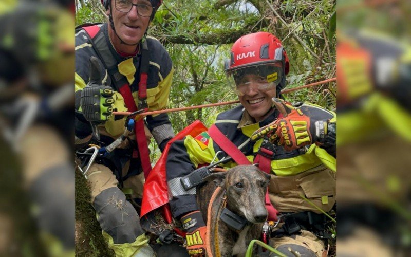 Cachorro fica mais de 24 horas preso na beira de cânion após cair de 130 metros no RS | abc+