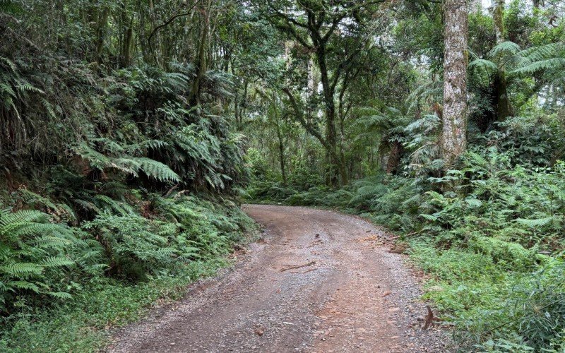 Novo bloqueio para obras da Corsan em direção à Estrada Velha do Caracol