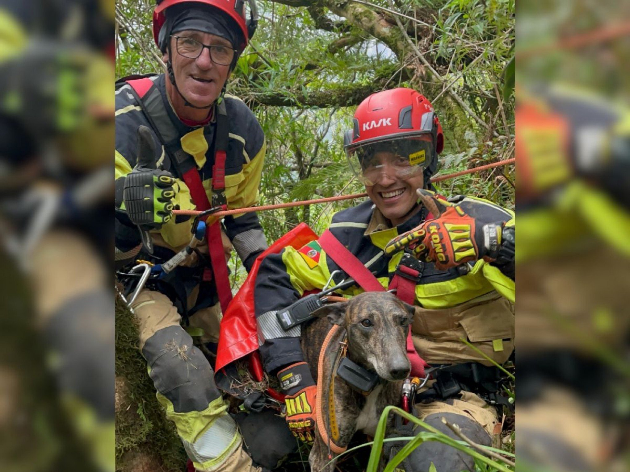 VÍDEO: Cachorro fica mais de 24 horas preso na beira de cânion após cair de 130 metros no RS