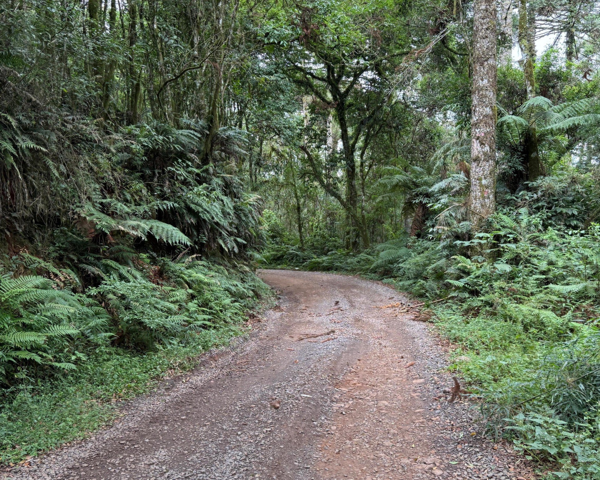 Gramado terá novo bloqueio no trânsito para obras da Corsan; veja locais com interrupção