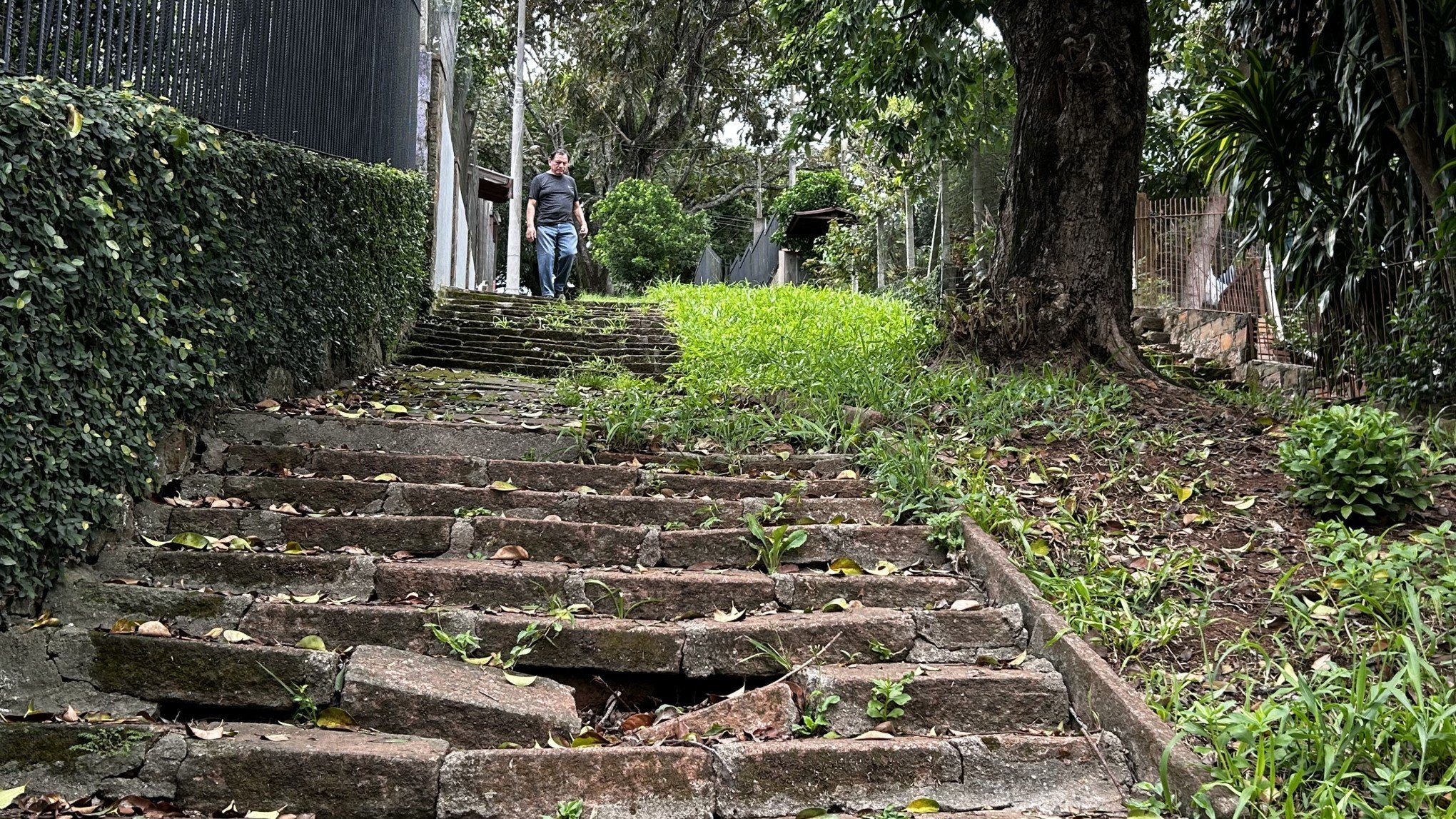 VÍDEO: Moradores cobram melhorias em escadarias de bairro de Novo Hamburgo