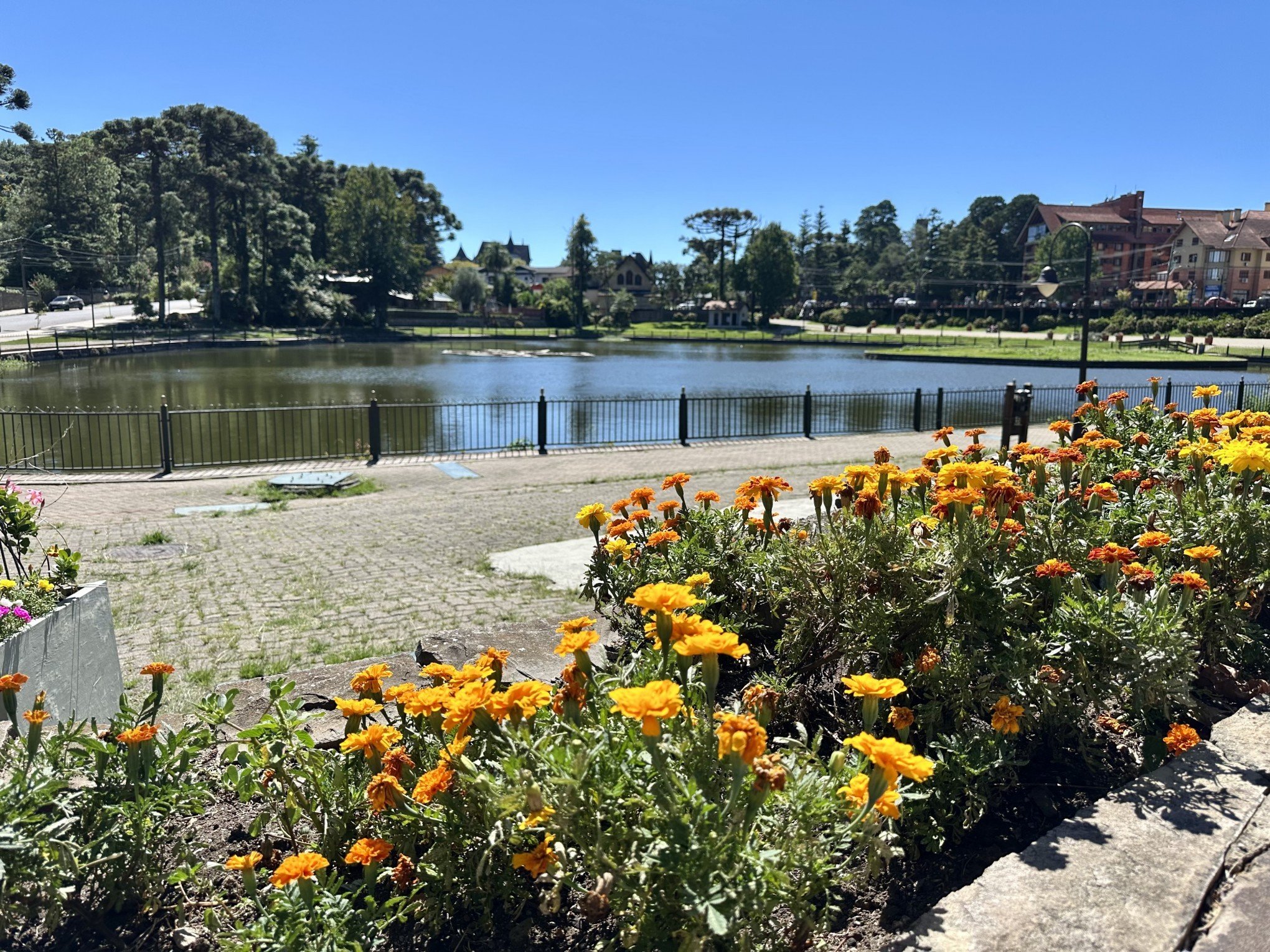 Gramado terá caminhada pelo Outubro Rosa e Novembro Azul neste final de semana
