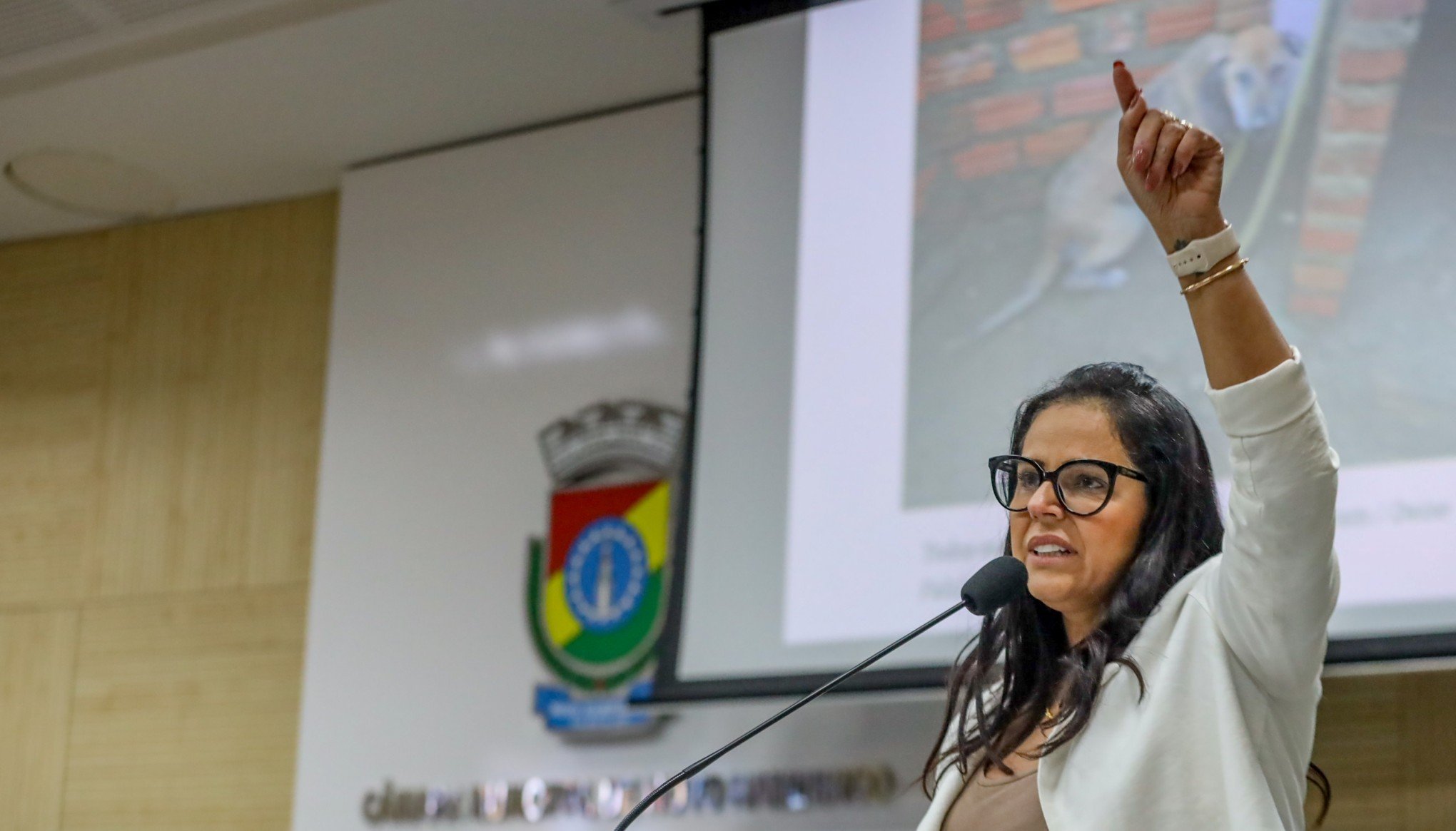 Câmara de Novo Hamburgo debate projeto de lei que proíbe acorrentar animais; entenda