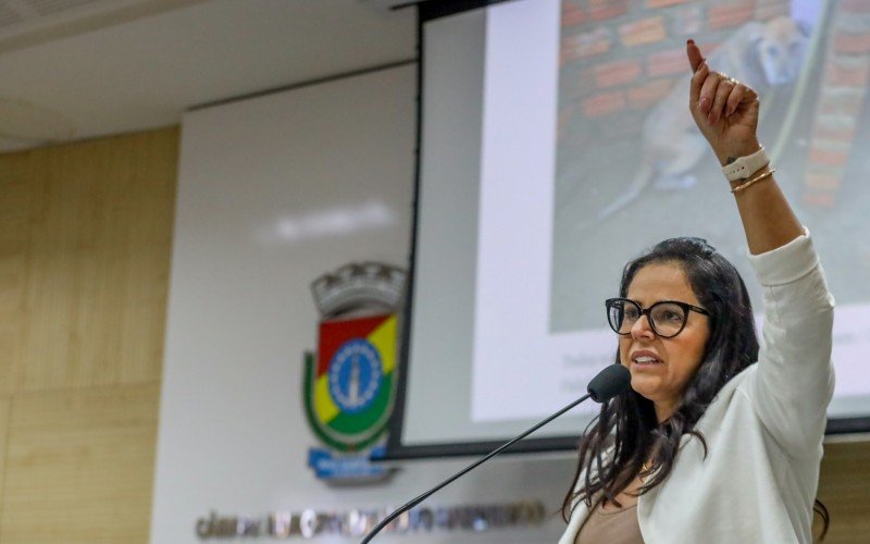 Para ser aprovado, o projeto ainda precisa passar por uma segunda votação.     | abc+