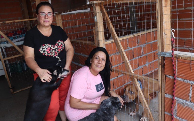 Zeus (direita) foi abrigado recentemente por Sônia e Ana Cáren