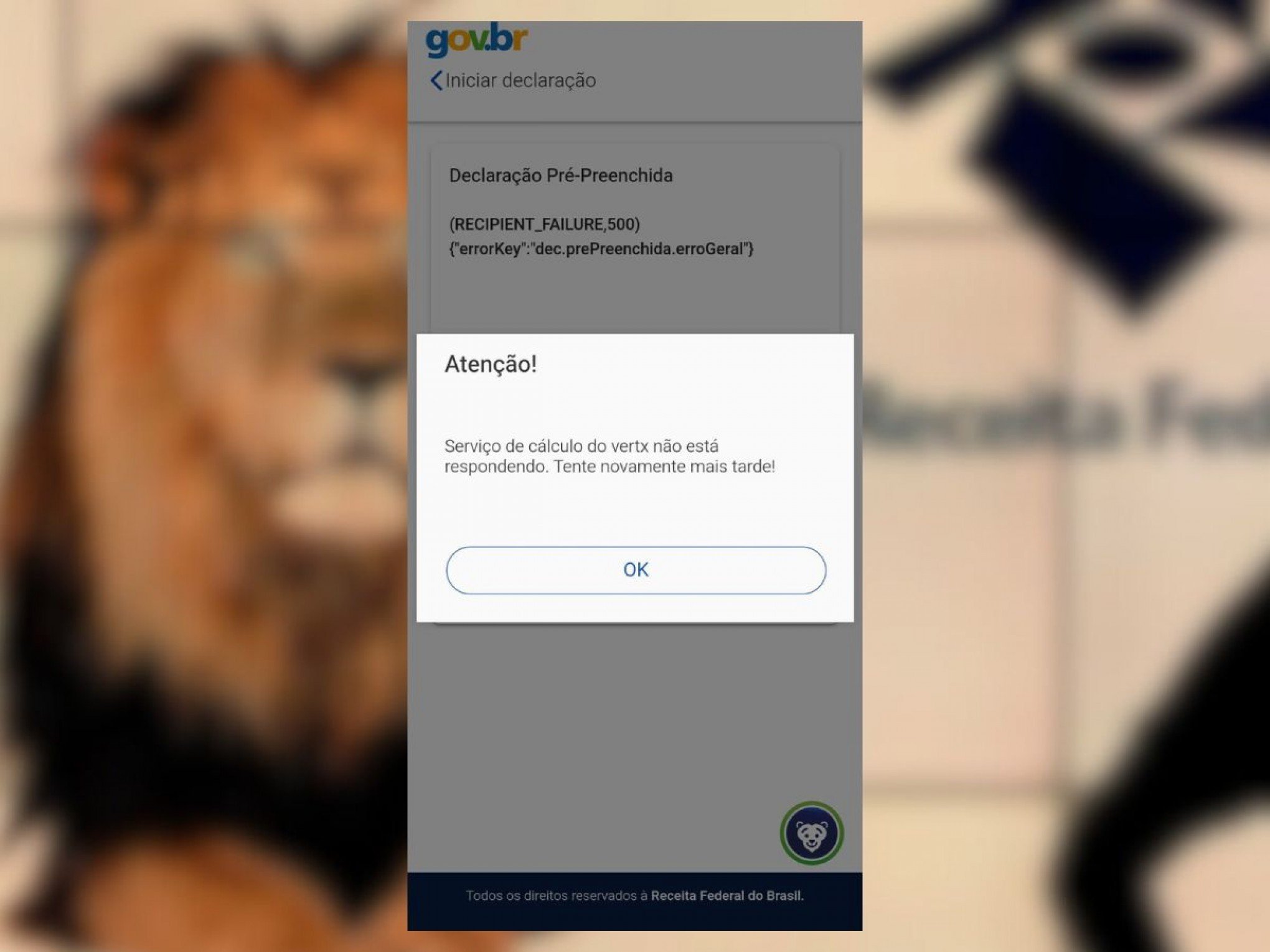 IMPOSTO DE RENDA: Falha na hora de fazer a declaração? Confira a partir de quando a entrega será liberada no app