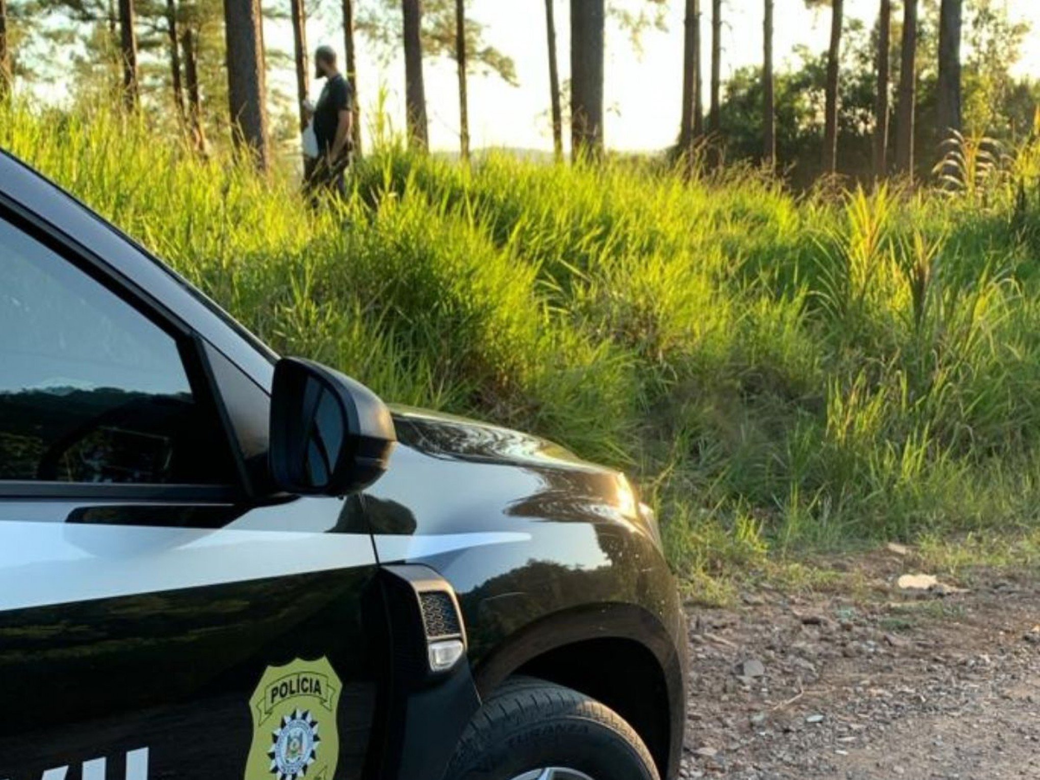 Corpo é encontrado enterrado em área de mata em Sapiranga