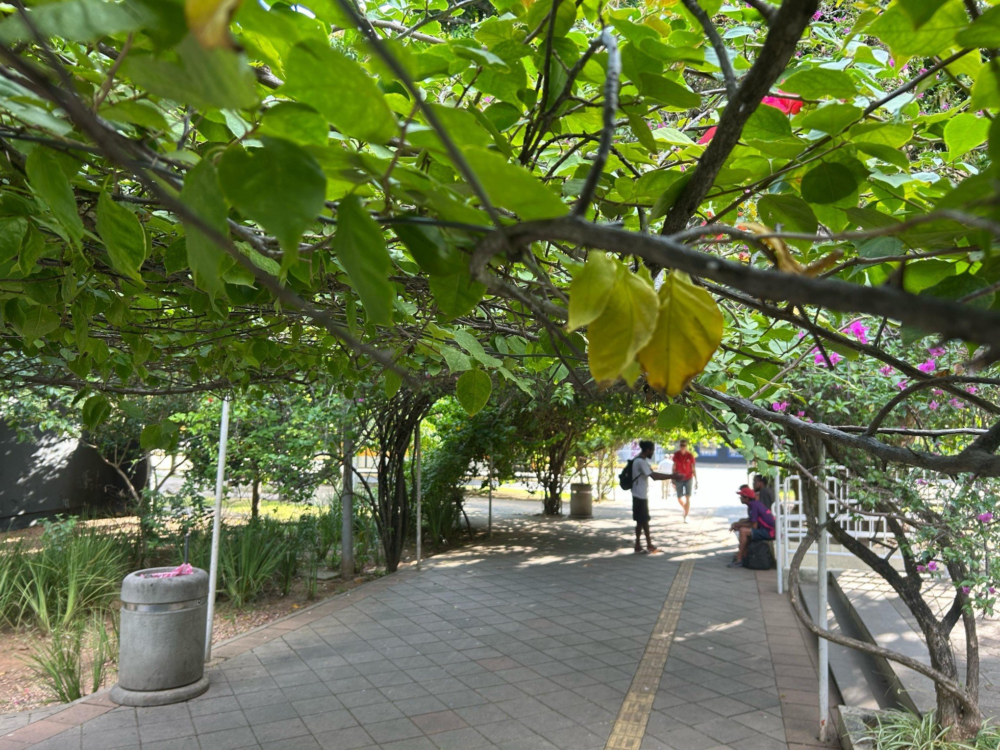 OUTONO: Saiba o que esperar das temperaturas durante estação que começa nesta quinta-feira