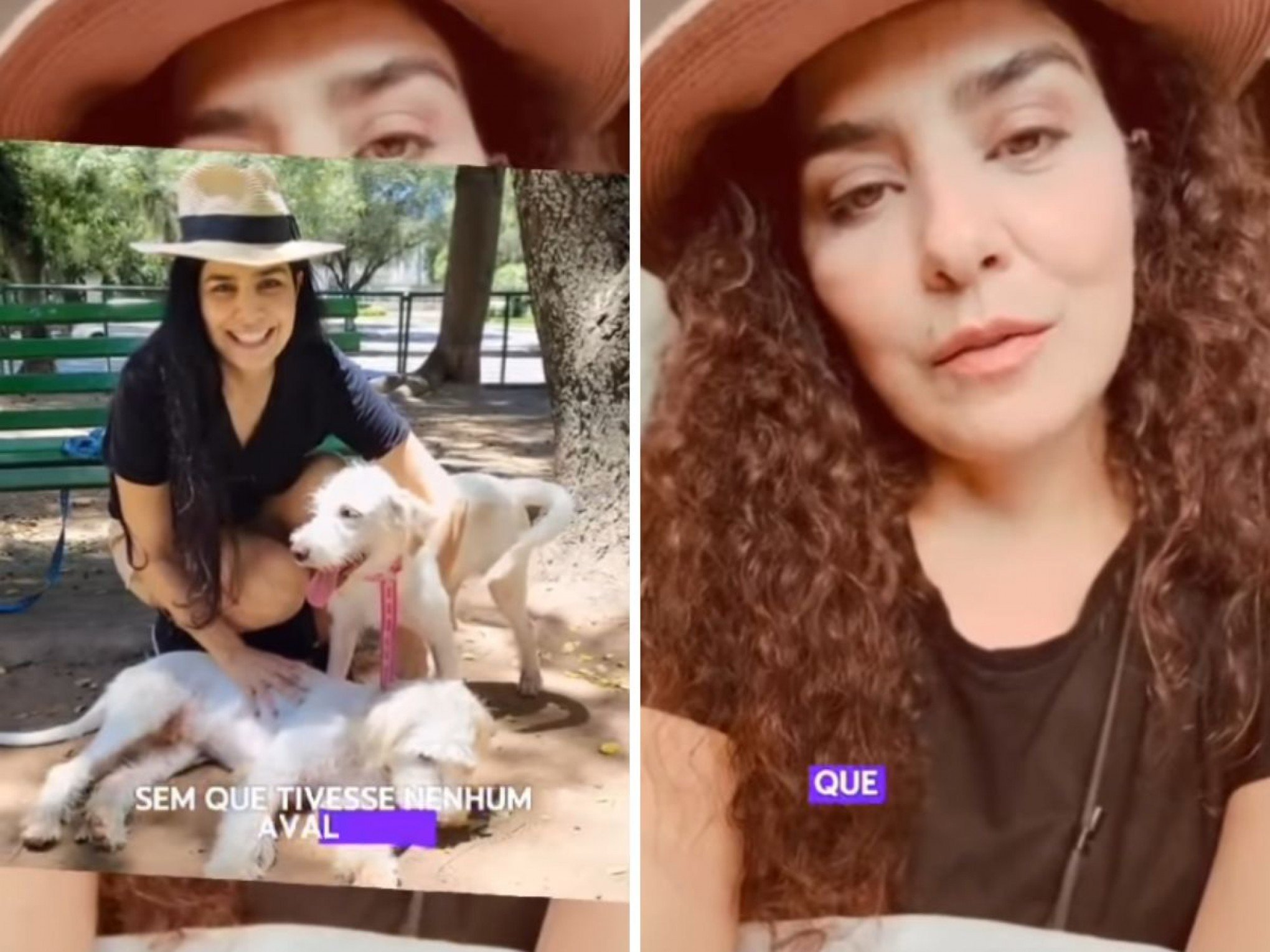 Leticia Sabatella volta a falar sobre cães doados sem seu consentimento: "Ruptura muito dolorosa"