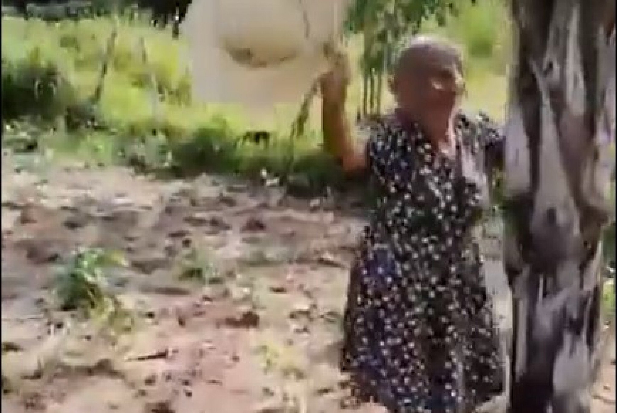 VÍDEO: Idosa tenta sobreviver à "ameaça" de um drone e diverte nas redes sociais