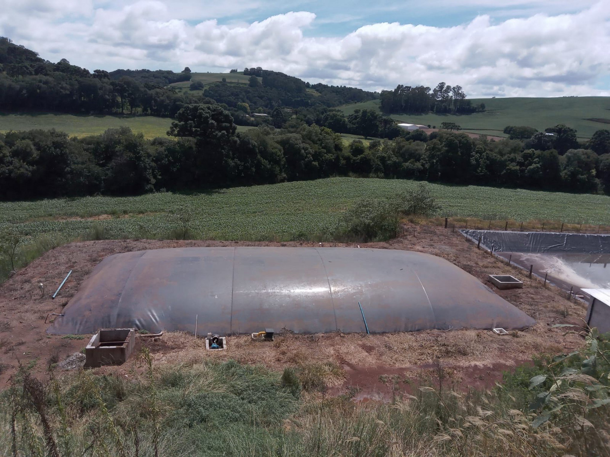 Setor primário em destaque no Fórum do Biogás e Biometano, que ocorrerá em abril