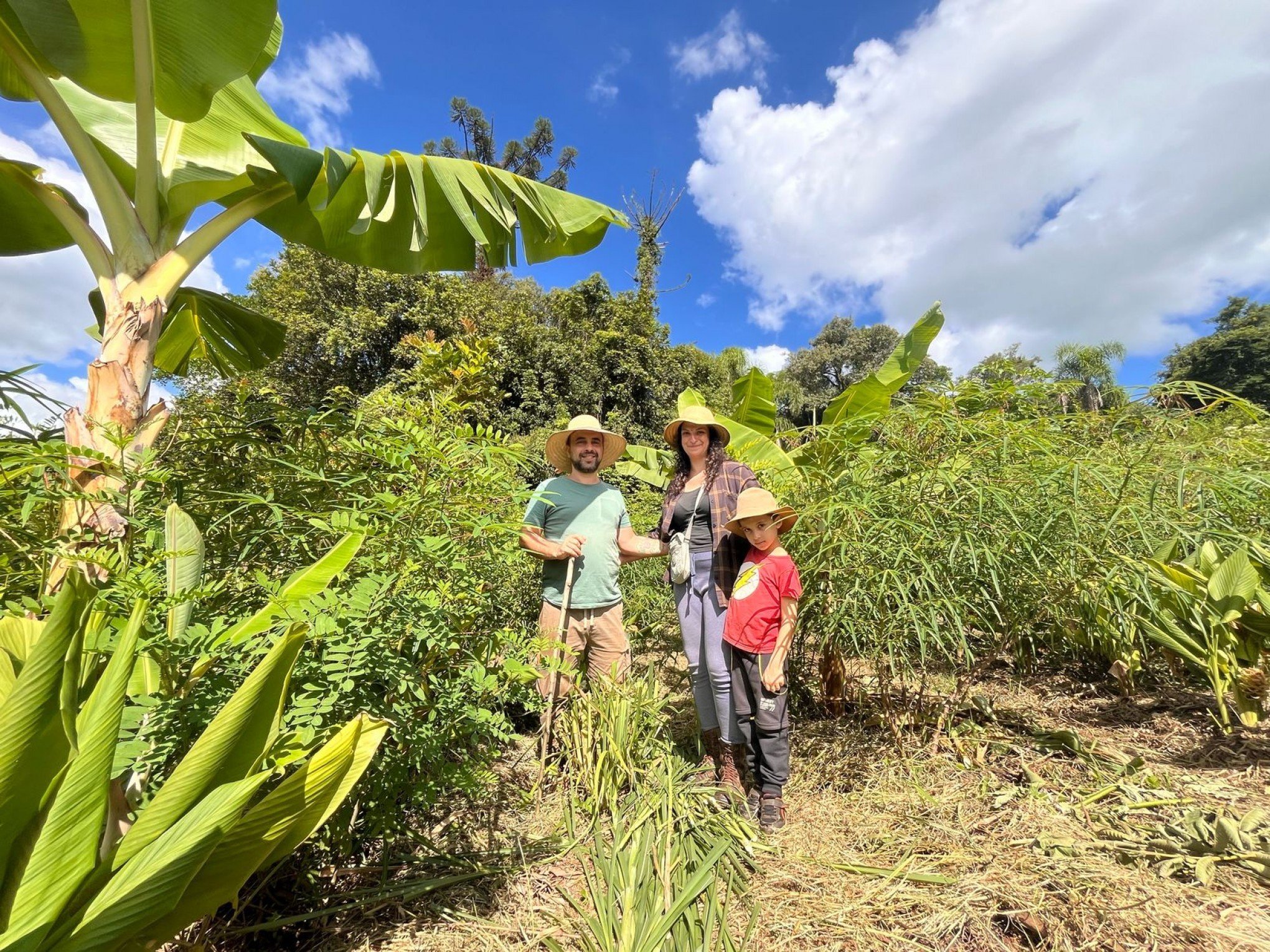 Agrofloresta: o espaço de resiliência e fertilidade do solo