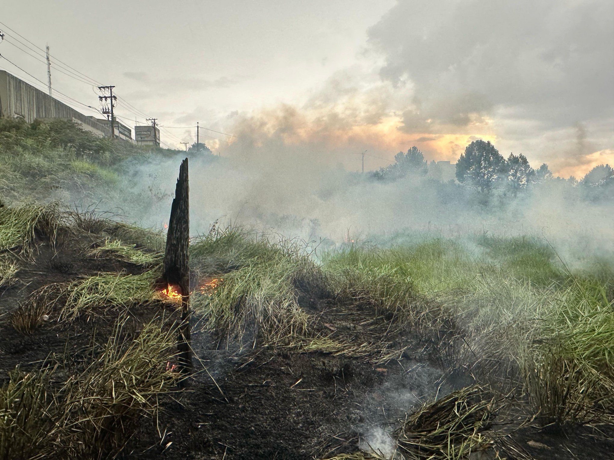Foco de incêndio às margens da BR-116 espalha fumaça por ruas de Novo Hamburgo