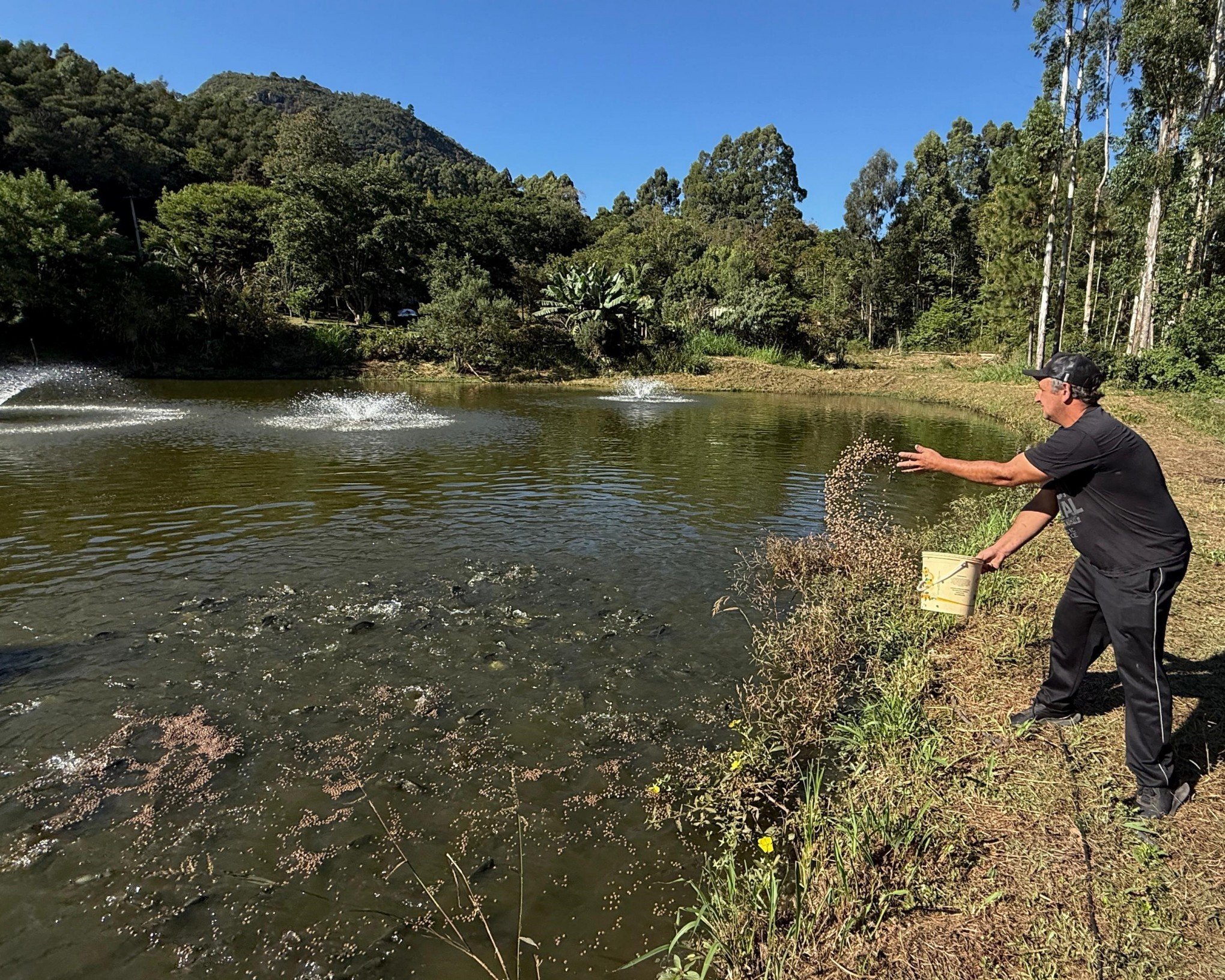 Feira do Peixe em Gramado ocorrerá durante três dias para Semana Santa; saiba mais