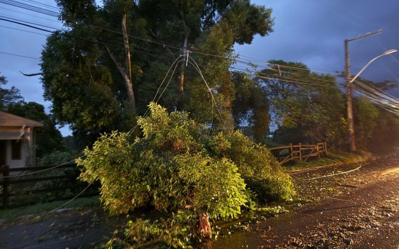 Nova Santa Rita registrou quedas de árvores e falta de luz