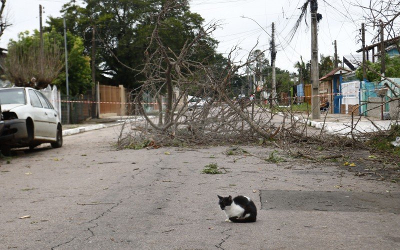 Isolamento na altura do número 745 da Rua São Jerônimo continuava na manhã desta terça-feira (1º)