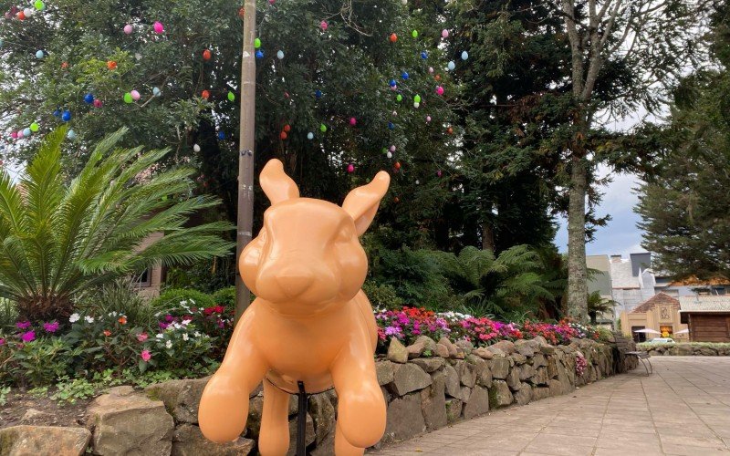 Coelhos estão espalhados pela área central da cidade