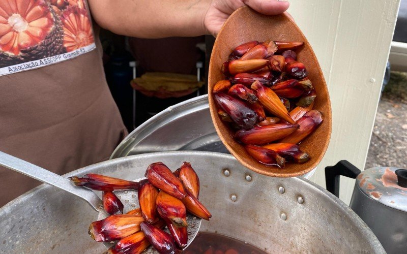 Semente da araucária é vendida cozida e crua