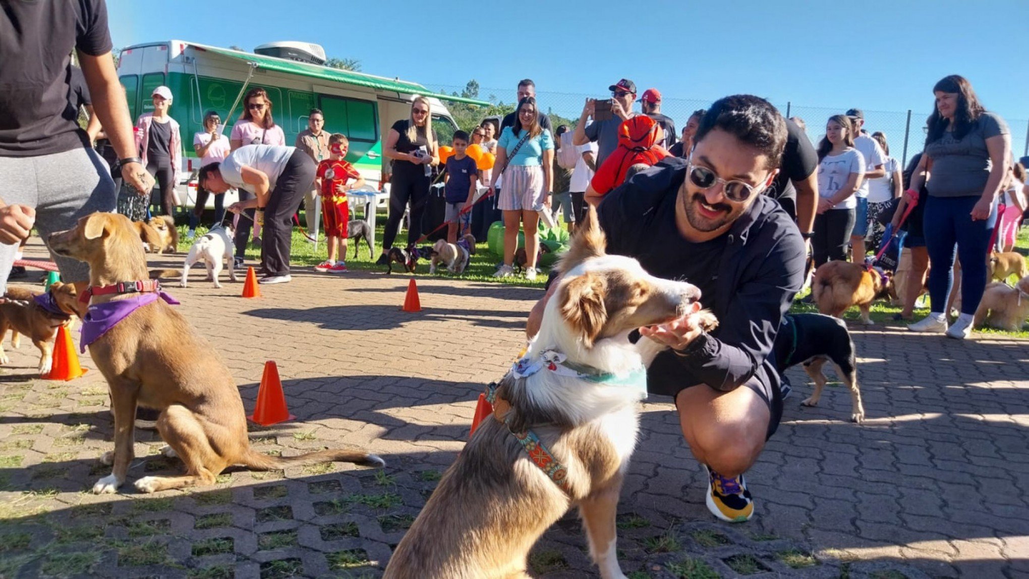 Novo Hamburgo recebe a Cãominhada no dia 17 de agosto