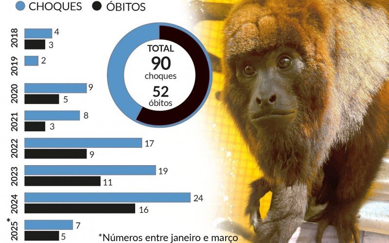 Choque em macacos