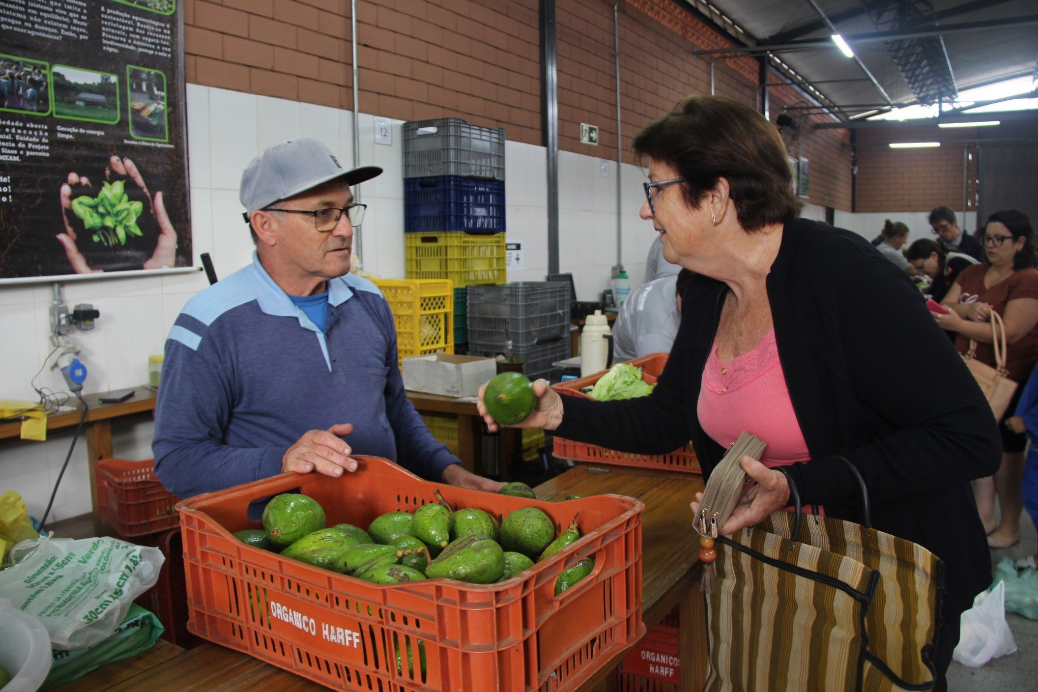 "É o nosso ganha pão": Conheça a história de agricultores que fazem parte da Feira do Agricultor de Sapiranga