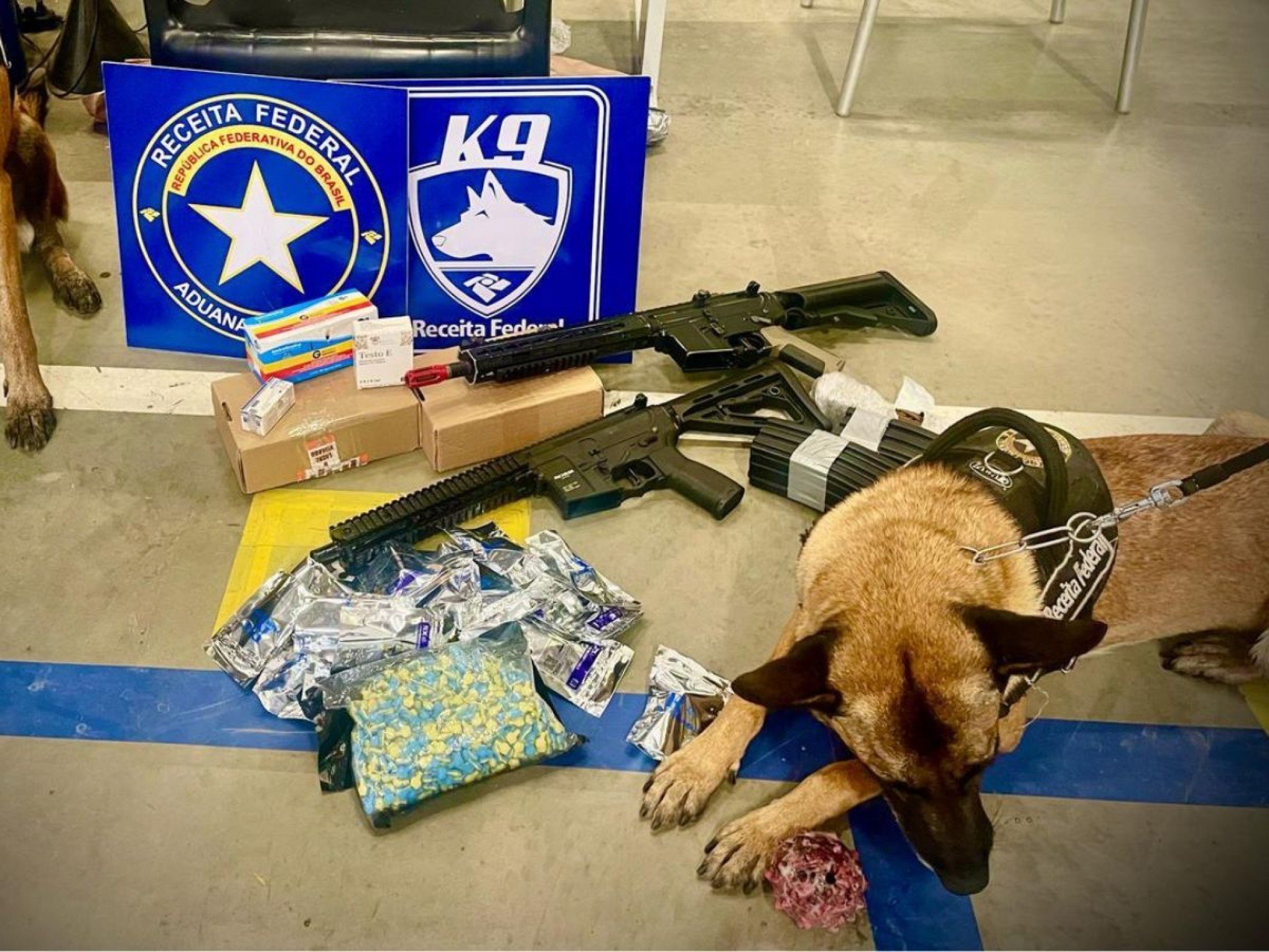 AEROPORTO: Cães da Alfândega localizam mais de R$ 60 mil em drogas e produtos ilegais em um único dia no Salgado Filho