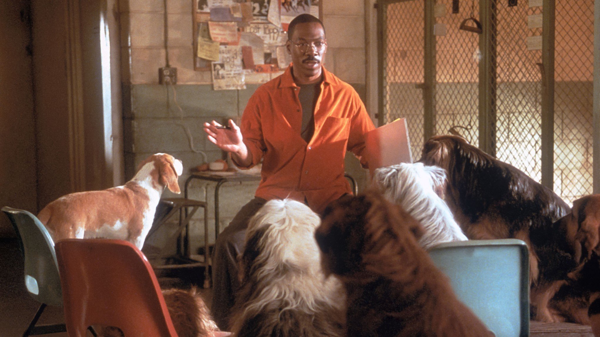 SESSÃO DA TARDE: Globo exibe filme com Eddie Murphy nesta quarta-feira, dia 9 de abril
