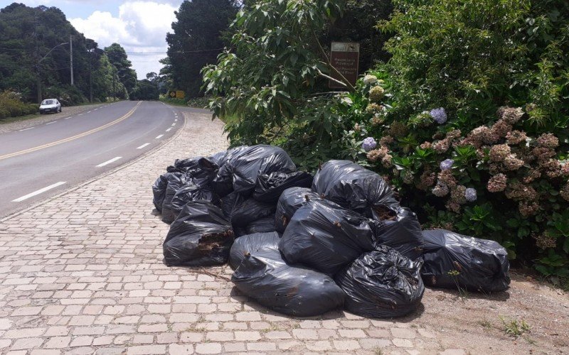 Coleta de resíduos verdes foi retomada em Canela