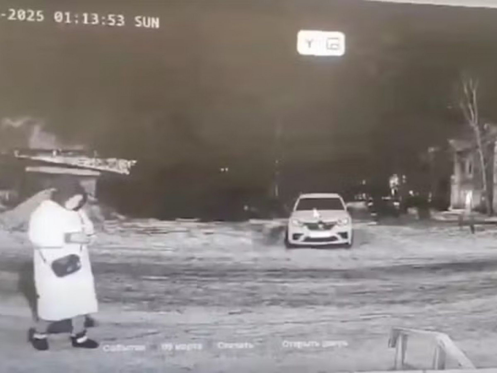Assassinada ou atacada por animal? Autoridades encontram cabeça de mulher e câmera registra últimos momentos