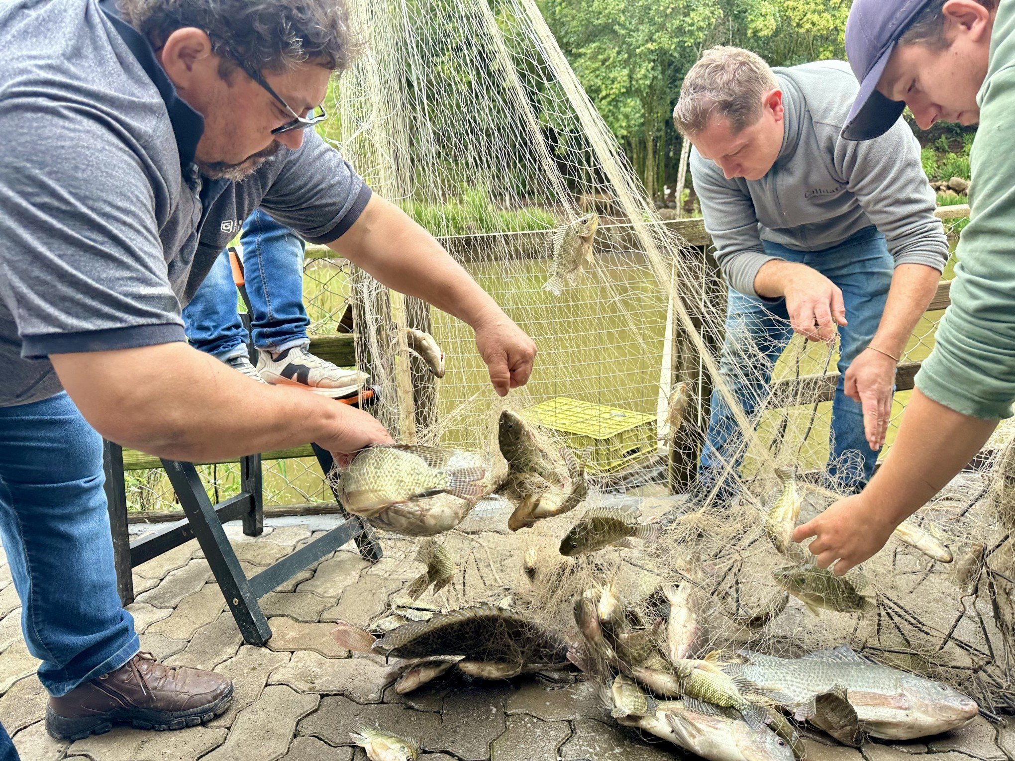 Gramado terá Feira do Peixe Vivo nesta Semana Santa